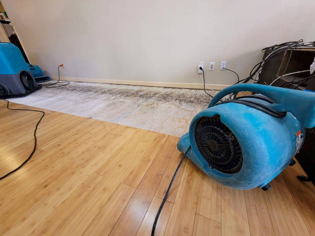 Professional Structural Drying technician working in Wayne, OH
